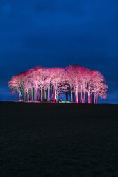 Spring has officially arrived in Cornwall!