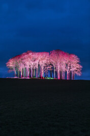 Spring has officially arrived in Cornwall!