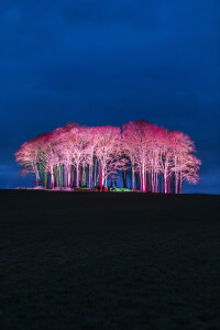 Spring has officially arrived in Cornwall!