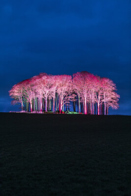 Spring has officially arrived in Cornwall!