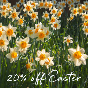 Easter Breaks with Forever Cornwall