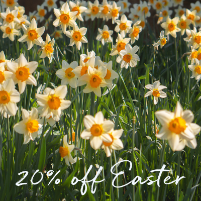 Easter Breaks with Forever Cornwall