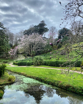 Guest Blog: National Trust Glendurgan Garden Springtime