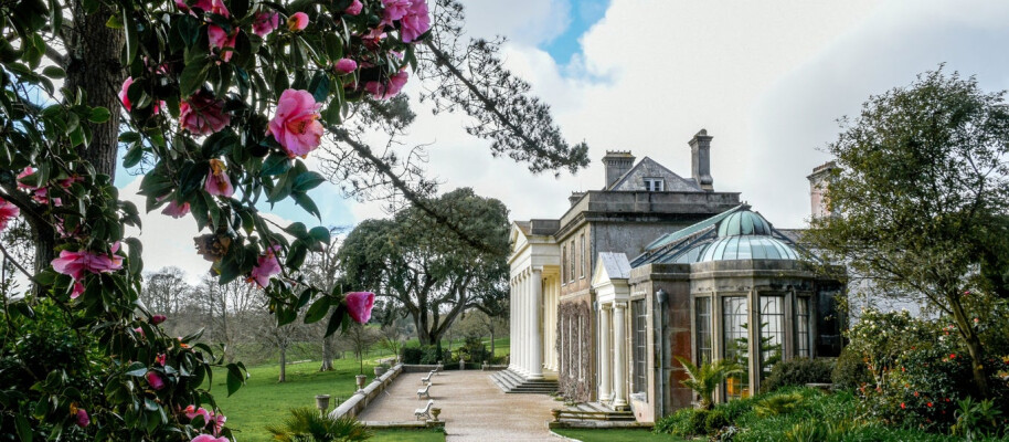 Cornwall Mind - Bark Run at Trelissick