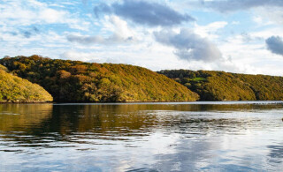 Creekside Archaeology Cruise - exploring the upper reaches