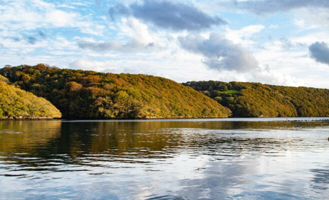 Creekside Archaeology Cruise - exploring the upper reaches