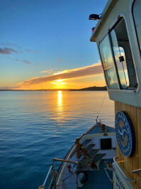 St Mawes Town Regatta: Late Night Ferry