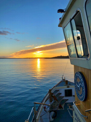 St Mawes Town Regatta: Late Night Ferry