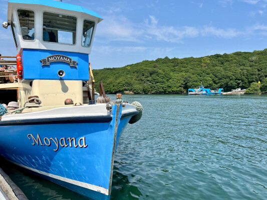 Exploring Falmouth to Malpas from the Water