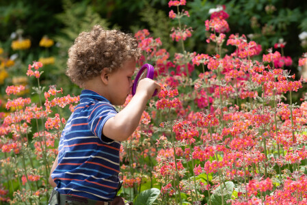 'How to Catch a Rainbow' at Trelissick