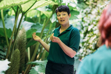 Garden Tour & Afternoon Tea at Hotel Meudon