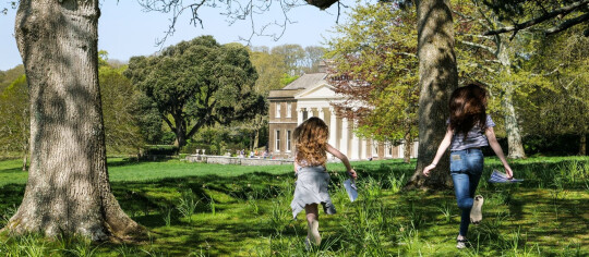 Summer at Trelissick