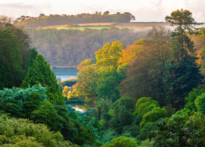 Find Joy in Nature Workshop at Trebah Garden