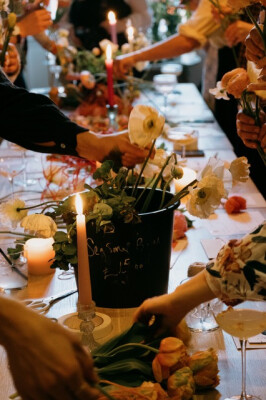 A Wild Bunch at Hotel Tresanton