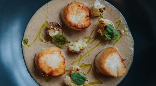 Lunch at The Alverton