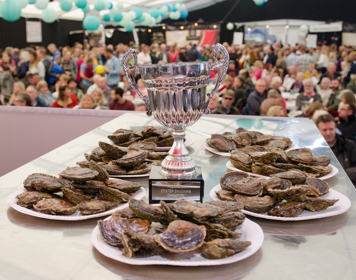 Falmouth Oyster Festival 2023 The Full Programme