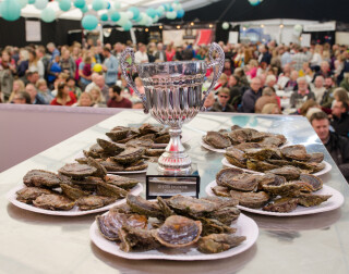 Falmouth Oyster Festival 2023 – The Full Programme