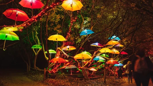 Heligan Night Garden