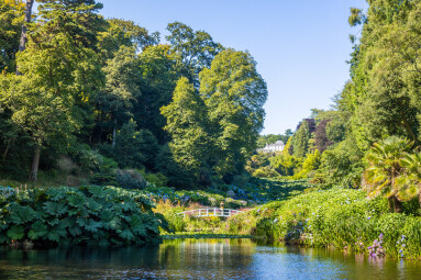 Trebah Garden Named Tripadvisor Travellers’ Choice Awards Winner For 2025