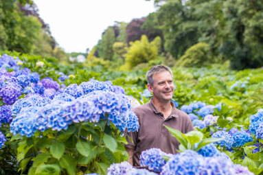 Meet... Darren, Head Gardener at Trebah Garden