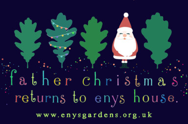 Christmas at Enys House