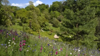 Winged Insects of Glendurgan Garden