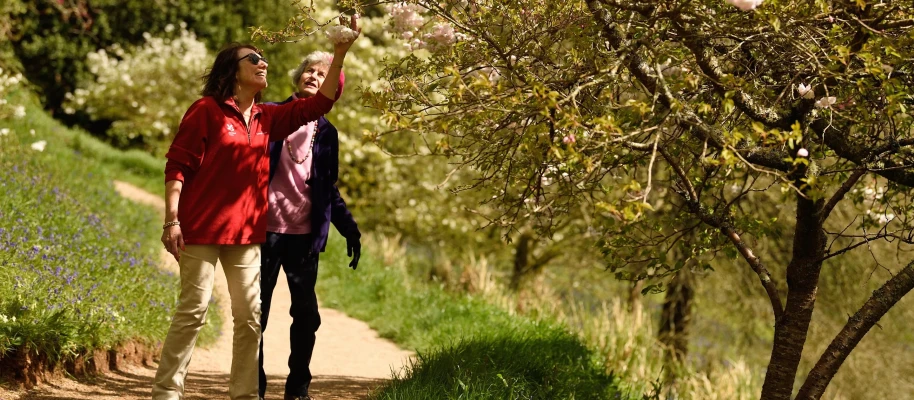 Volunteering opportunities at Glendurgan Garden
