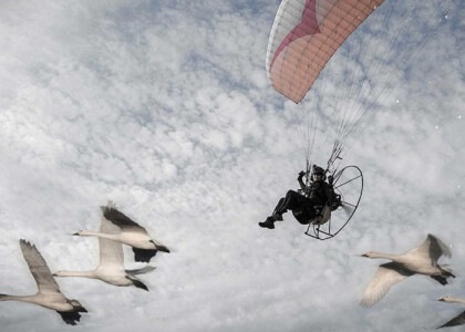 Trebah Garden Talks: Adventures of a Human Swan