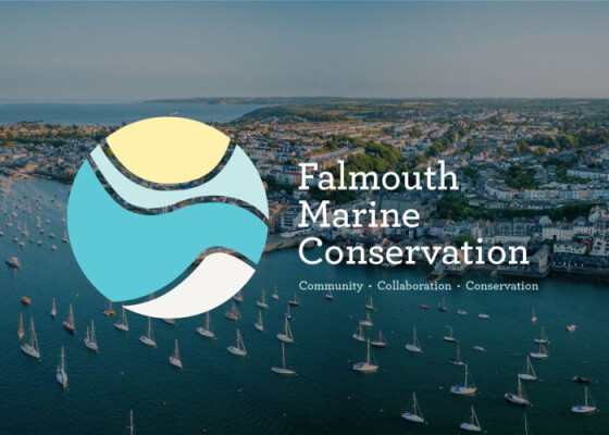 Half Term Takeover at Trebah Garden