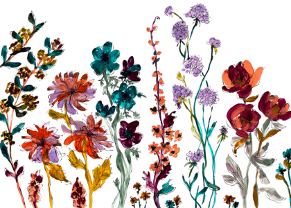 Trebah Garden - The Nursery