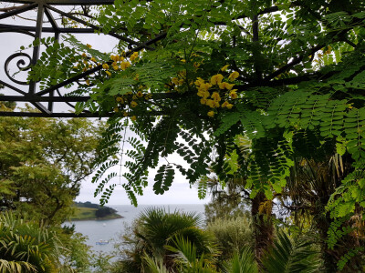 Roseland Festival - Lamorran Garden Visit & Talk