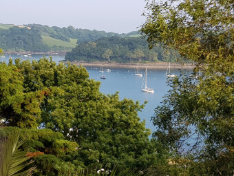 A 'Secret' Garden in Cornwall - Lamorran Gardens