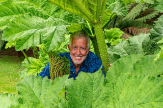 Secret Gardens of Cornwall