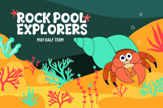 Rock Pool Explorers at the NMMC
