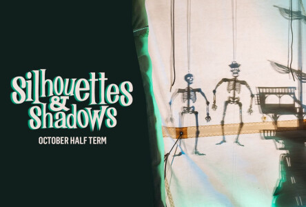 Silhouettes and Shadows at the NMMC