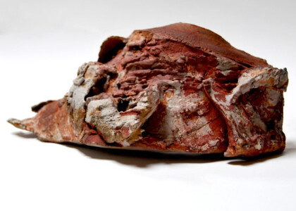 Trebah Garden - Clay Tile Workshop