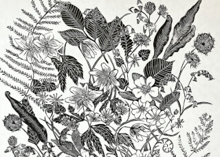 Trebah Garden -  An Introduction to Botanical Lino Printing