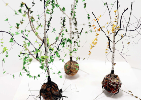 Trebah Garden - Regeneration - Terra Mater Art