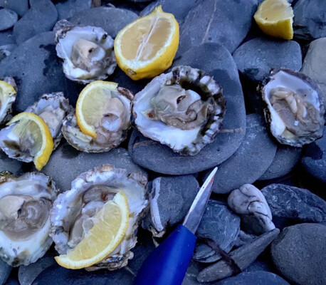 Fal Oyster Talk with Fal Fishery