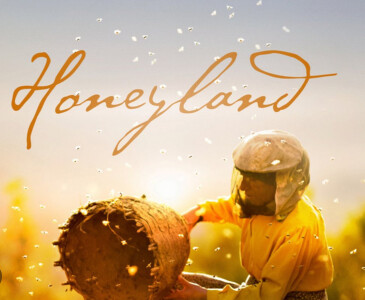 All About Bees - Honeyland