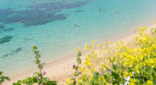 Last Minute Bed & Breakfast - 15% Off with St Michaels Resort