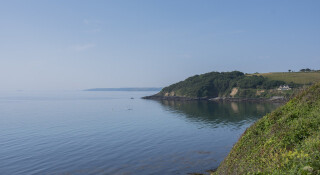 Be Free with St Michaels