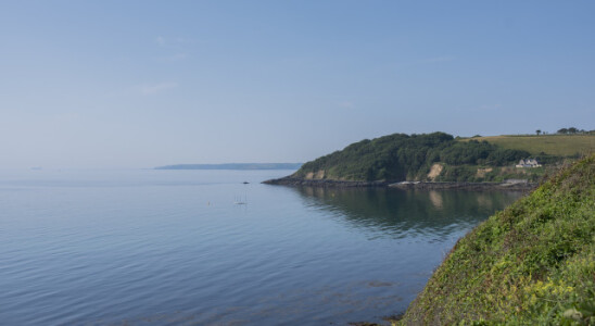 Be Free with St Michaels