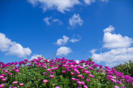 Last Minute Holidays with Creekside Cottages