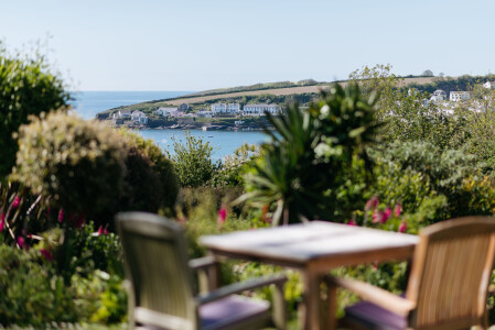 Early Bird Special Offer with The Rosevine