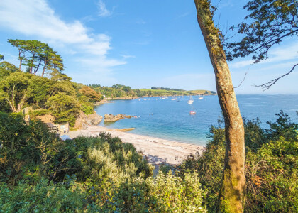Beach Yoga with Ro at Trebah Garden