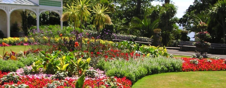 Guest Blog: Tales from Gyllyngdune Gardens