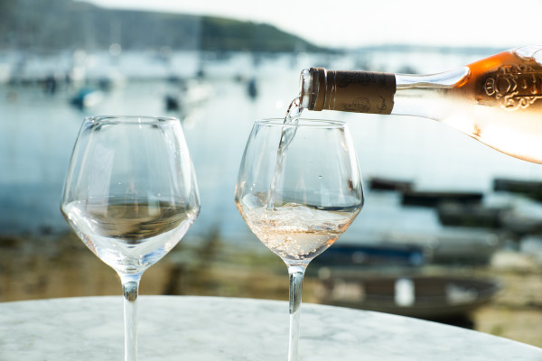 Valentines at Indidog