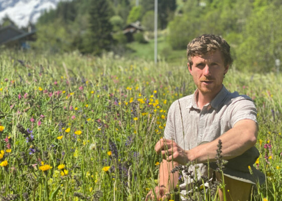 Trebah Talk: Gardeners As Ecosystem Engineers