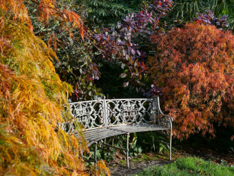 Autumn Splendour at Trelissick